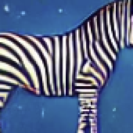 Zebra Stripe